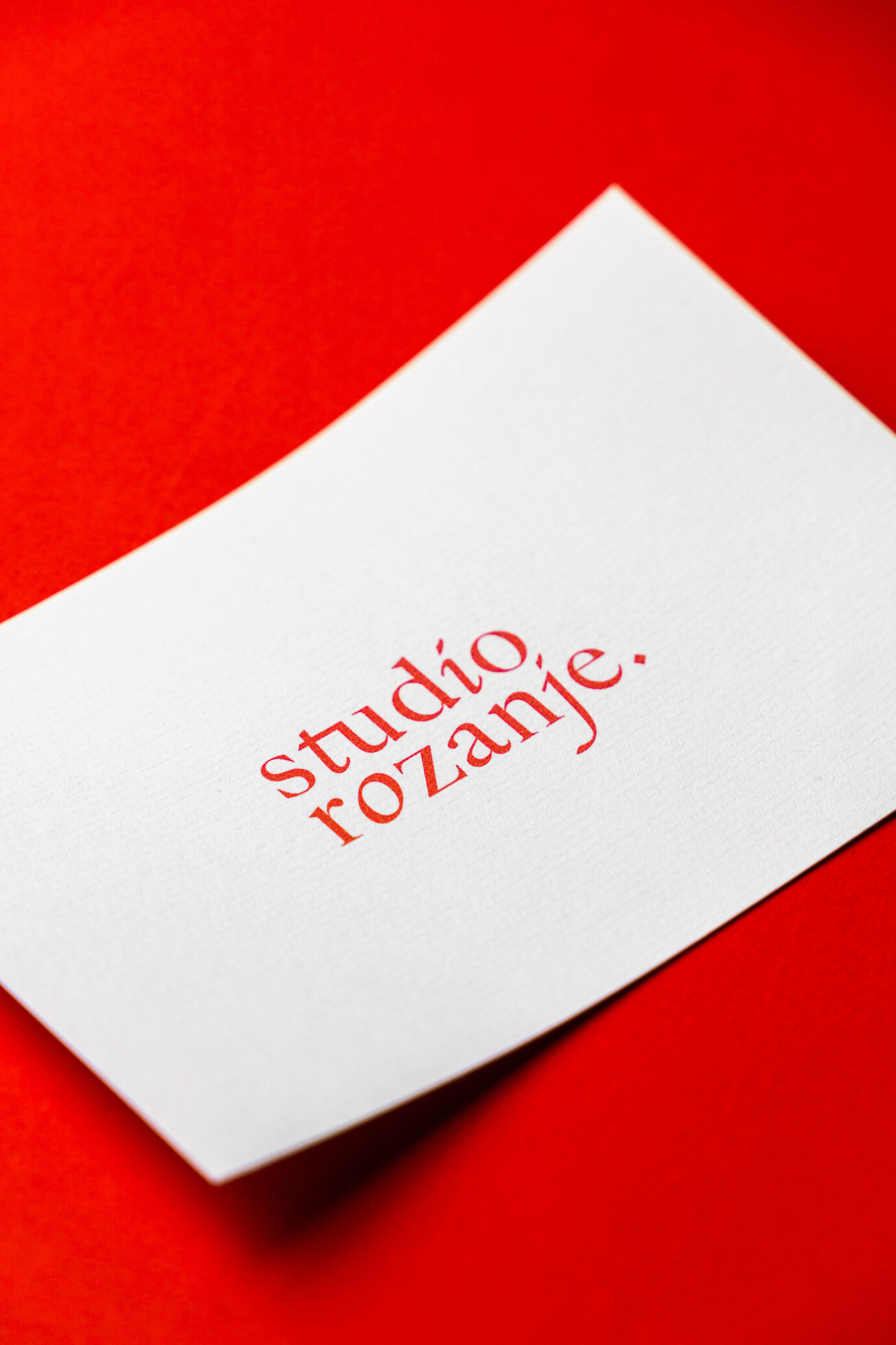 Studio rozanje 3