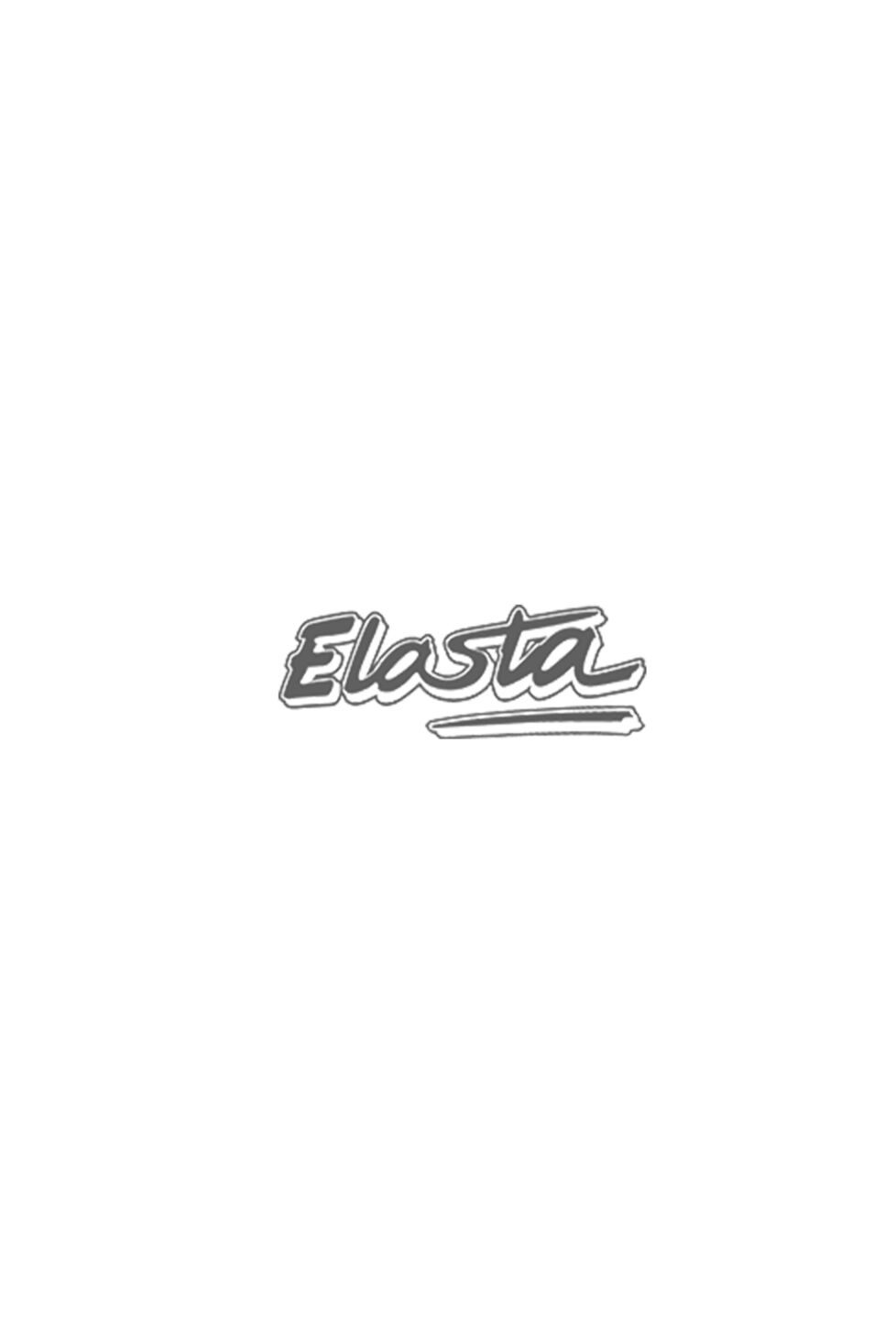 Elasta Logo Grijs