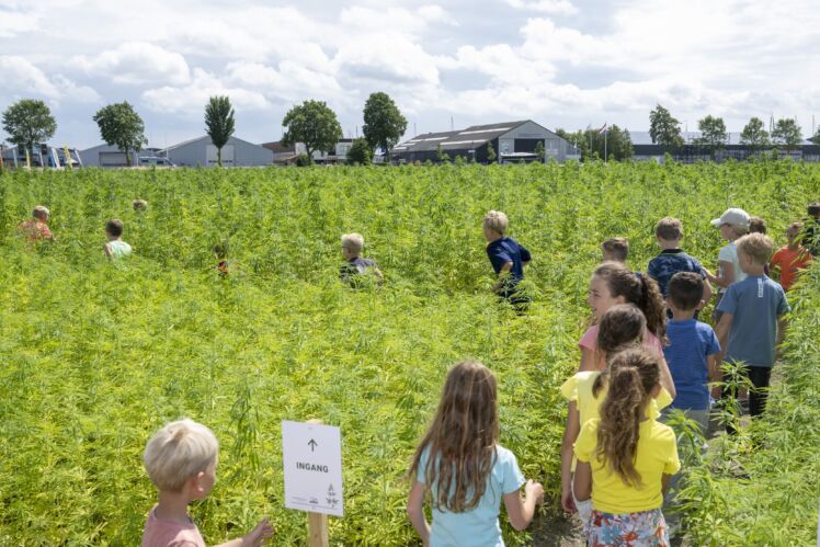 Kinderen ontdekken het Biobased Doolhof in Workum