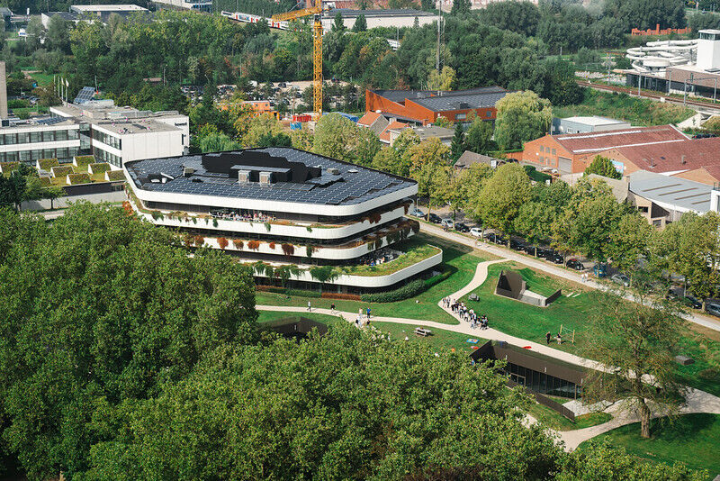 53555942323 ff31755394 c