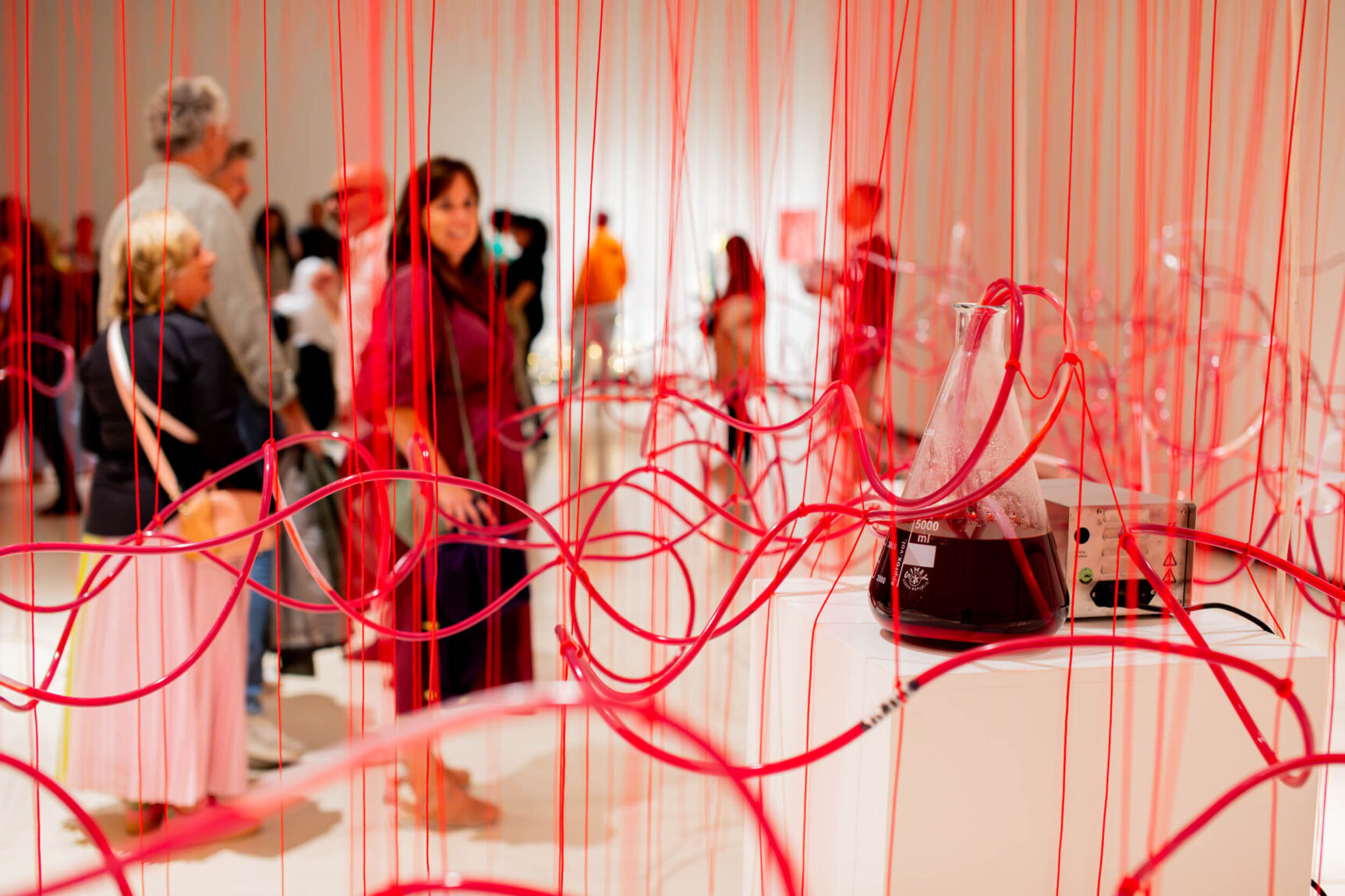 BILBAO 2025 Jonas Verbeke LR 9