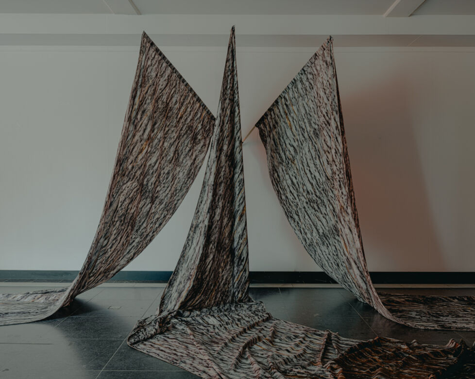 WONDER lowres jv 8699