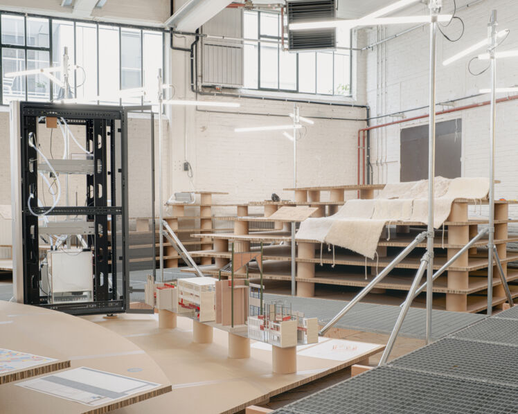 WONDER lowres jv 8544