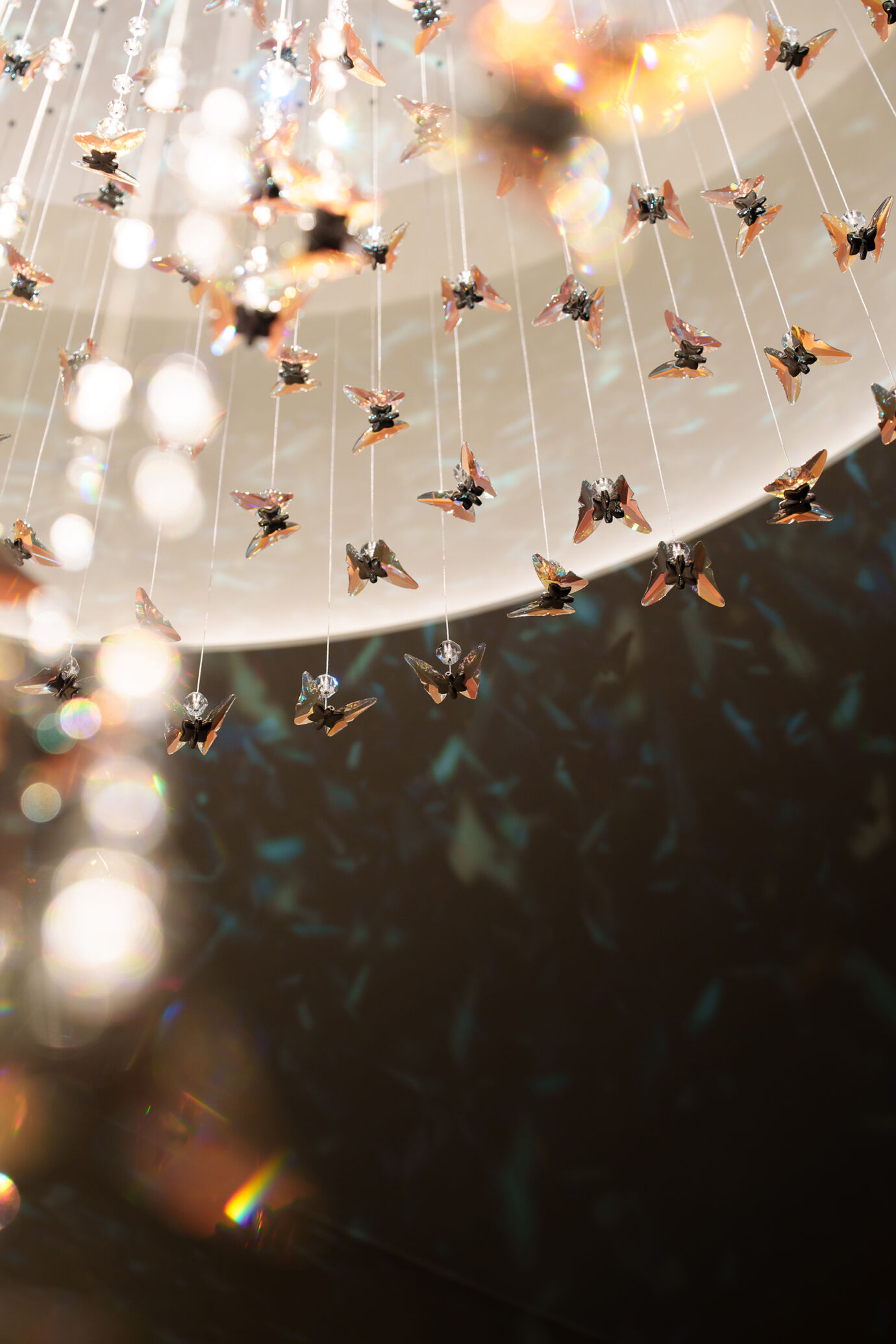 SPECTRUMXLICHTWERK BUTTERFLY 65