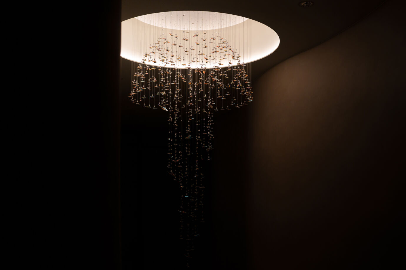 SPECTRUMXLICHTWERK BUTTERFLY 87