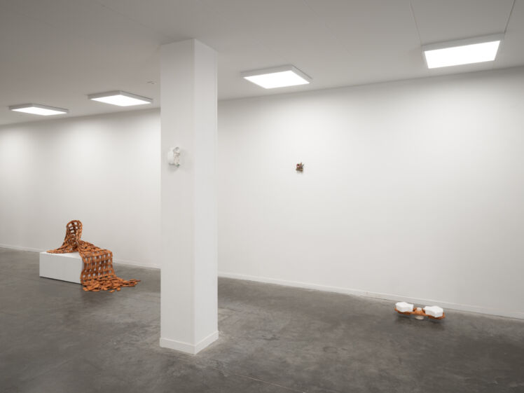 Designregio Rhizome 2