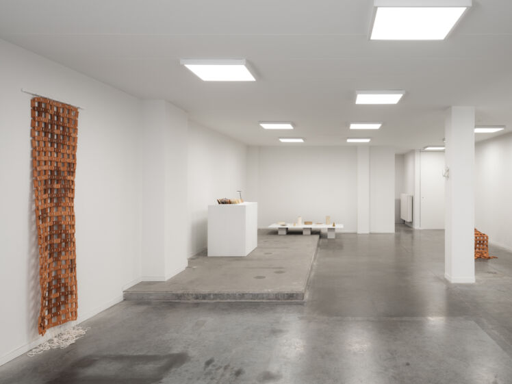 Designregio Rhizome 4