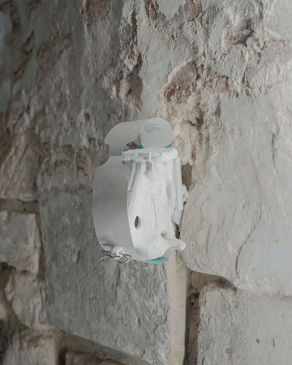 WONDER lowres jv 8607