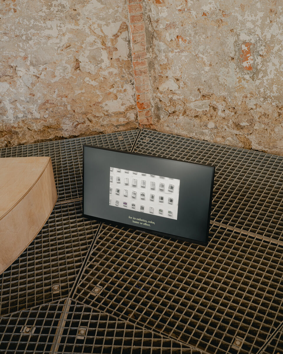 WONDER lowres jv 8614