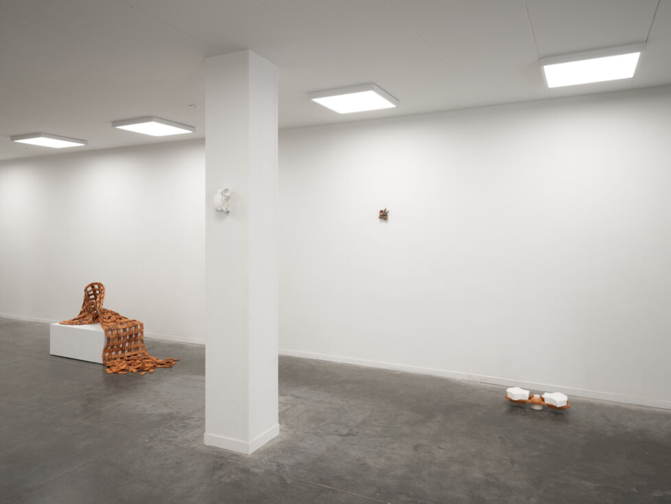 Designregio Rhizome 2