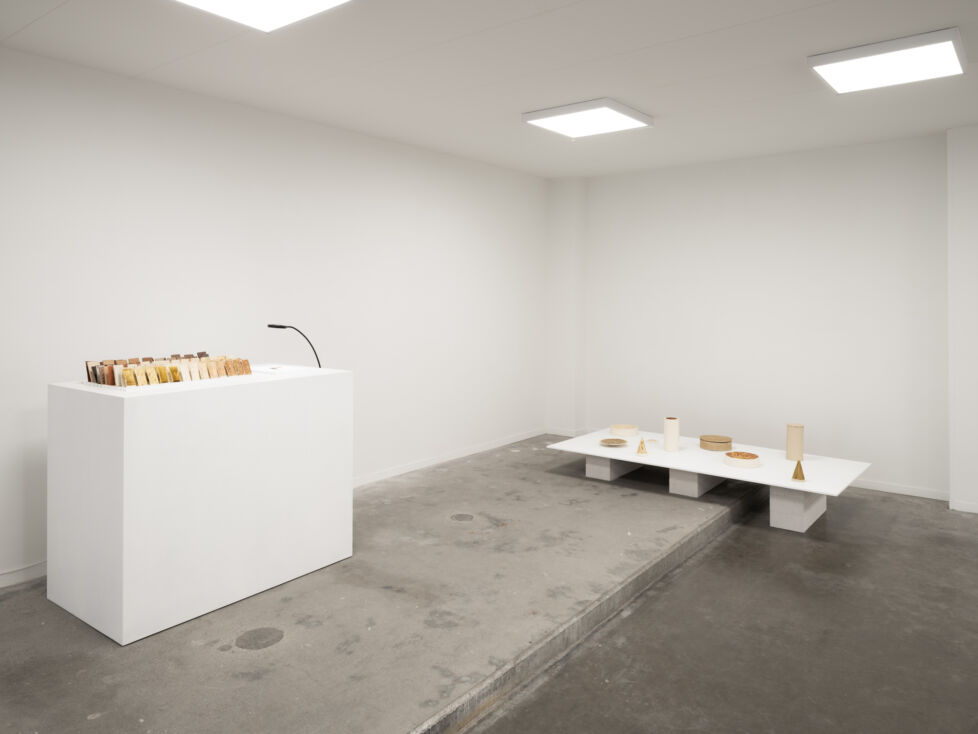 Designregio Rhizome 3