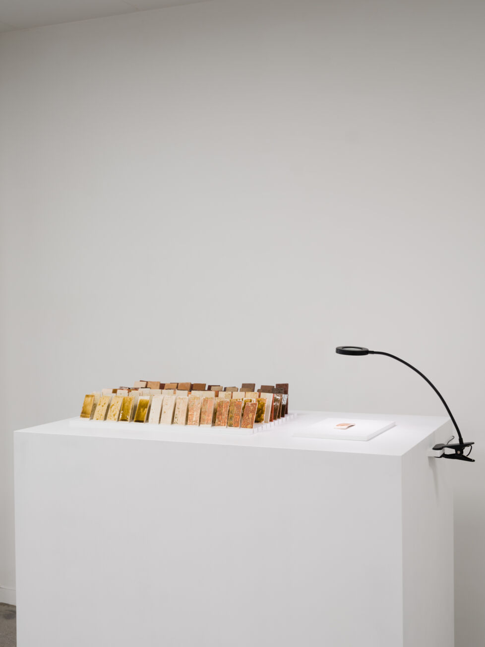 Metamorphosis DRK 25 c Dieter Van Caneghem web 38