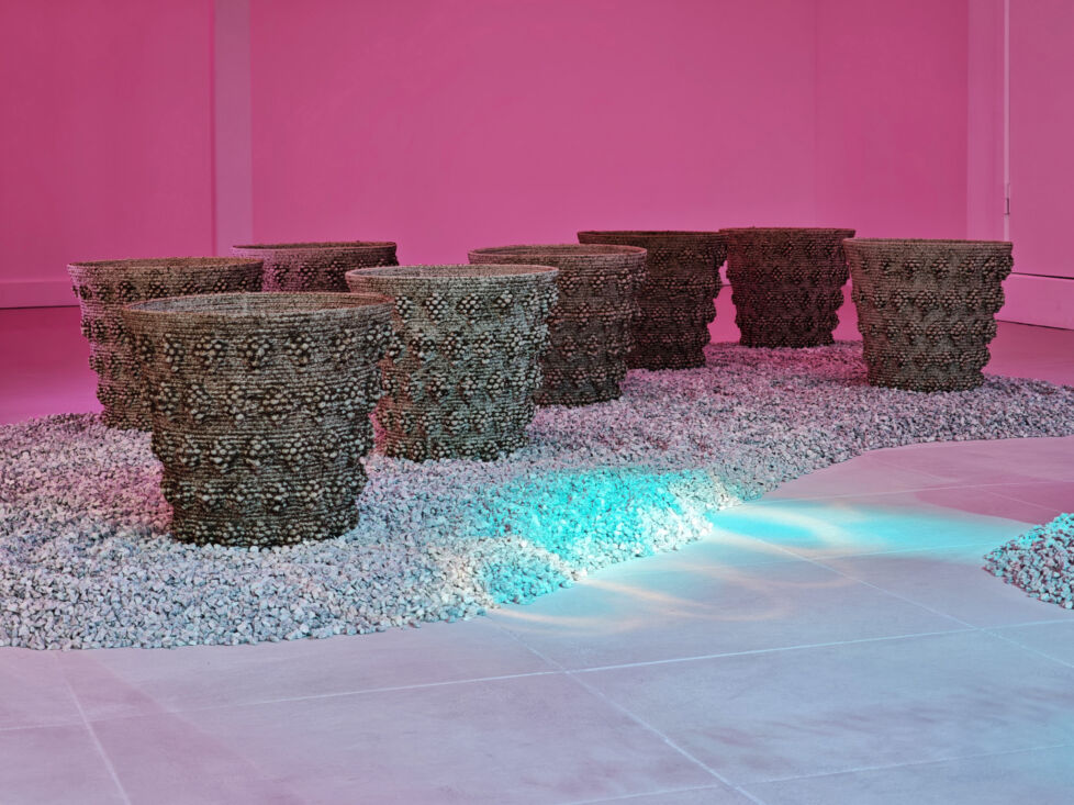 Larbits Sisters Symbiotic Manufacture Indoor setup Photo Larbits Sisters